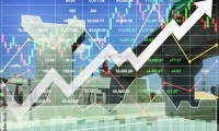 国际实业：截至2025年4月10日公司股东人数为39390人